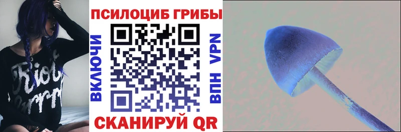 Псилоцибиновые грибы GOLDEN TEACHER  магазин продажи наркотиков  Малоярославец 